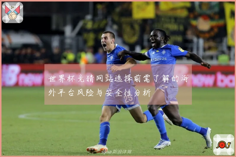 世界杯竞猜网站选择前需了解的海外平台风险与安全性分析