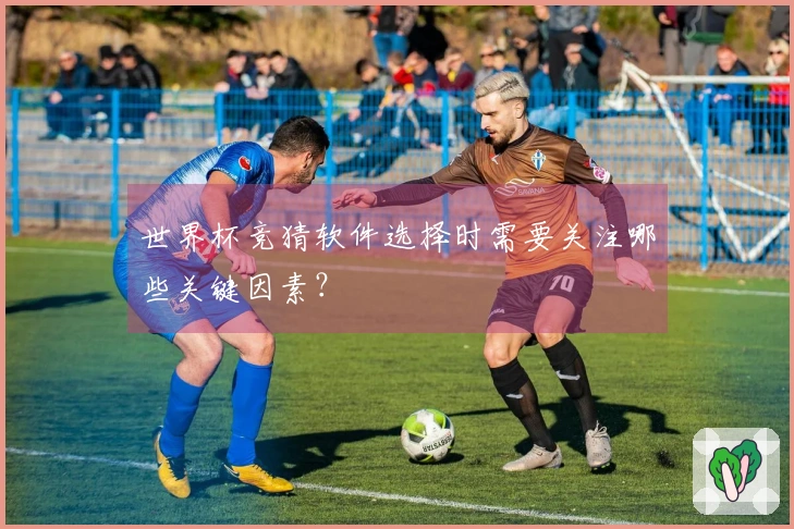 世界杯竞猜软件选择时需要关注哪些关键因素？
