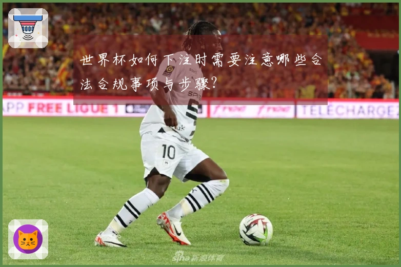 世界杯如何下注时需要注意哪些合法合规事项与步骤？