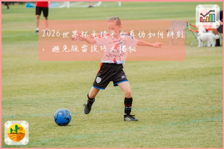 2026世界杯竞猜平台真伪如何辨别，避免踩雷技巧大揭秘