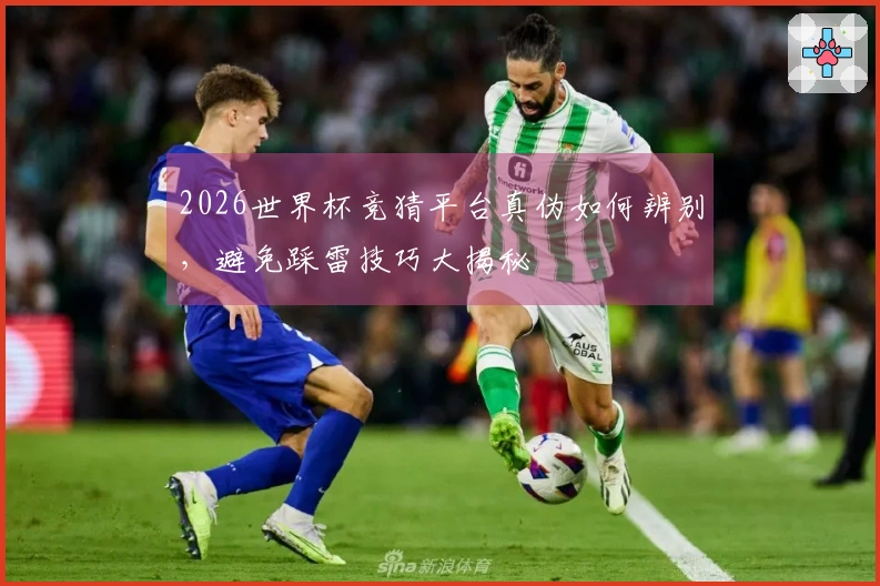 2026世界杯竞猜平台真伪如何辨别，避免踩雷技巧大揭秘